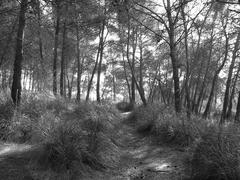 Edge of Garraf Natural Park in Gavà