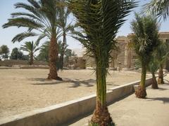 Temple of Seti I in Abydos