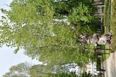 Upper part of the Royal Gardens in Turin accessible through the Palazzo Reale