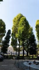 Giardini Reali Torino monument in Italy