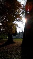 Arco di Revese in Giardini Salvi, Vicenza surrounded by trees