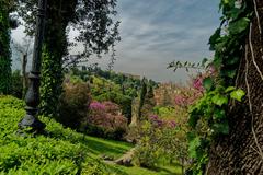 Viale Giuseppe Poggi with a view west towards Bardini Gardens in Florence