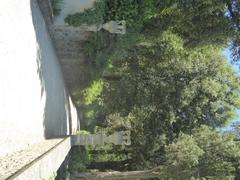 view of Giardino Bardini garden with lush greenery and trees