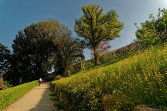 Giardino Bardini in Florence