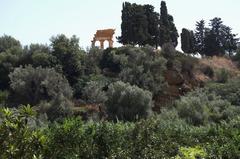 temple of Dioskouroi in Kolimbitra garden, Archaeological Park of Agrigento