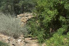 Kolimbitra Garden in Archaeological Park of Agrigento