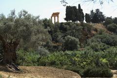 Temple of Dioskouroi in Kolimbitra garden, Agrigento