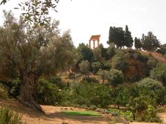 Scenic view of Kolymbetra Garden in Agrigento with lush greenery and ancient ruins