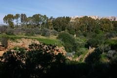 Valle dei Templi in Agrigento, Italy