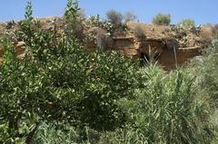 Kolimbitra garden in the Archaeological Park of Agrigento