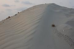 Meenkunnu Beach