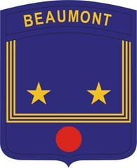 Beaumont High School JROTC Shoulder Sleeve Insignia