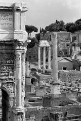 west end of the Roman Forum toward Palatine Hill