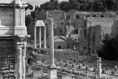 West end of the Roman Forum with Palatine Hill in the background.