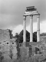 three surviving columns of the Temple of Castor and Pollux in the Roman Forum