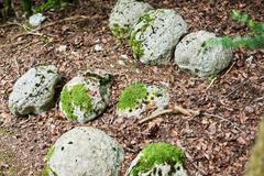 Projectiles from the Siege of Montsegur