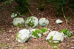 ancient projectiles from the Siege of Montségur 1244