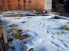 Ruins of the Muslim wall of Madrid after a snowfall