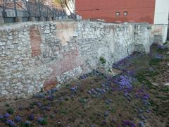 Ruins of the Muslim wall of Madrid