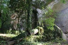 fallen tree monument in Italy