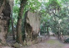 Photo of an Italian cultural heritage monument participating in Wiki Loves Monuments Italia 2017 contest