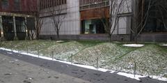 African Burial Ground National Monument in winter