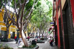 Street view of Calle 5 de mayo between 8 and 10 oriente