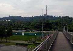 View of Bukit Timah Hill from pedestrian overpass crossing Bukit Timah Road in Singapore