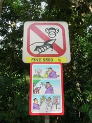 Do not feed the monkeys sign at Bukit Timah Nature Reserve, Singapore