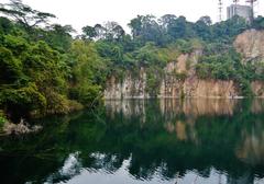 Bukit Timah Nature Reserve in Singapore with lush green vegetation