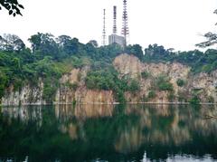 Bukit Timah Nature Reserve, Singapore