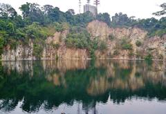 Bukit Timah Nature Reserve Singapore trail