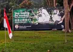 Stop feeding the monkeys sign in Bukit Timah Nature Reserve