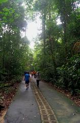 Walkers on Catchment Path to Bukit Timah Hill summit