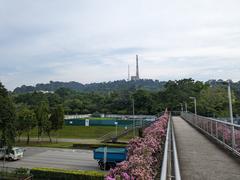 Bukit Timah Hill seen from a pedestrian overpass over Upper Bukit Timah Road