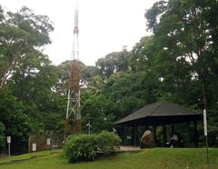 Summit of Bukit Timah Hill from the north