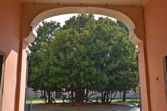 Magnolia tree in front of Villa Ghirlanda, a cultural heritage monument in Italy