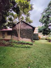 Backyard view of an amazing office compound with shaded break area