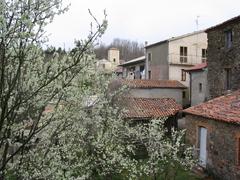 Adami village in springtime with blooming trees