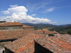 Roofs of Adami village