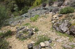 The Rock Garden in the Siena Botanical Garden