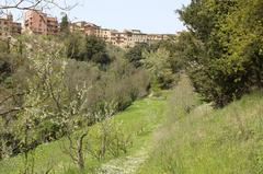 Panorama of the Botanical Garden in Siena