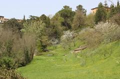 Panorama of the Botanical Garden in Siena