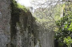 The city walls of Siena as seen from the Botanical Garden in Siena, Italy