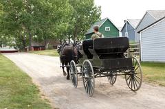 Vintage black car in a serene countryside setting