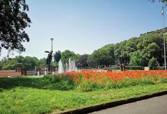 Parco Vittorio Formentano on a sunny day in May