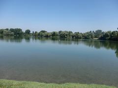 Parco delle Cave in Milan with lush greenery and a serene lake