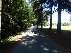 Parco delle Cave in Milan with lush greenery and a clear blue sky