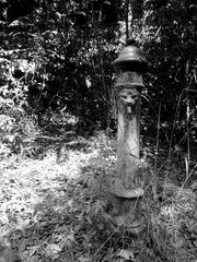 non-functional drinking fountain in Capodimonte Woods, Naples