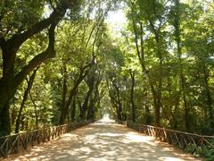 Viale Centrale path in Parco di Capodimonte